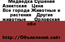 Медведка Сушеная Азиатская › Цена ­ 1 400 - Все города Животные и растения » Другие животные   . Орловская обл.